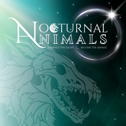 Custom Hand Drawn Logo & Banner Design - Nocturnal Animals